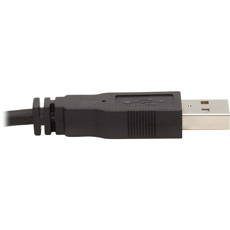 Tripp Lite Dvi Kvm Cable Kit - Dvi, Usb, 3.5 Mm Audio (3Xm/3Xm) + Usb (M/M) + Dvi (M/M), 10 Ft. (3.05 M)