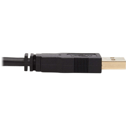 Tripp Lite Dvi Kvm Cable Kit - Dvi, Usb, 3.5 Mm Audio (3Xm/3Xm) + Usb (M/M) + Dvi (M/M), 10 Ft. (3.05 M)