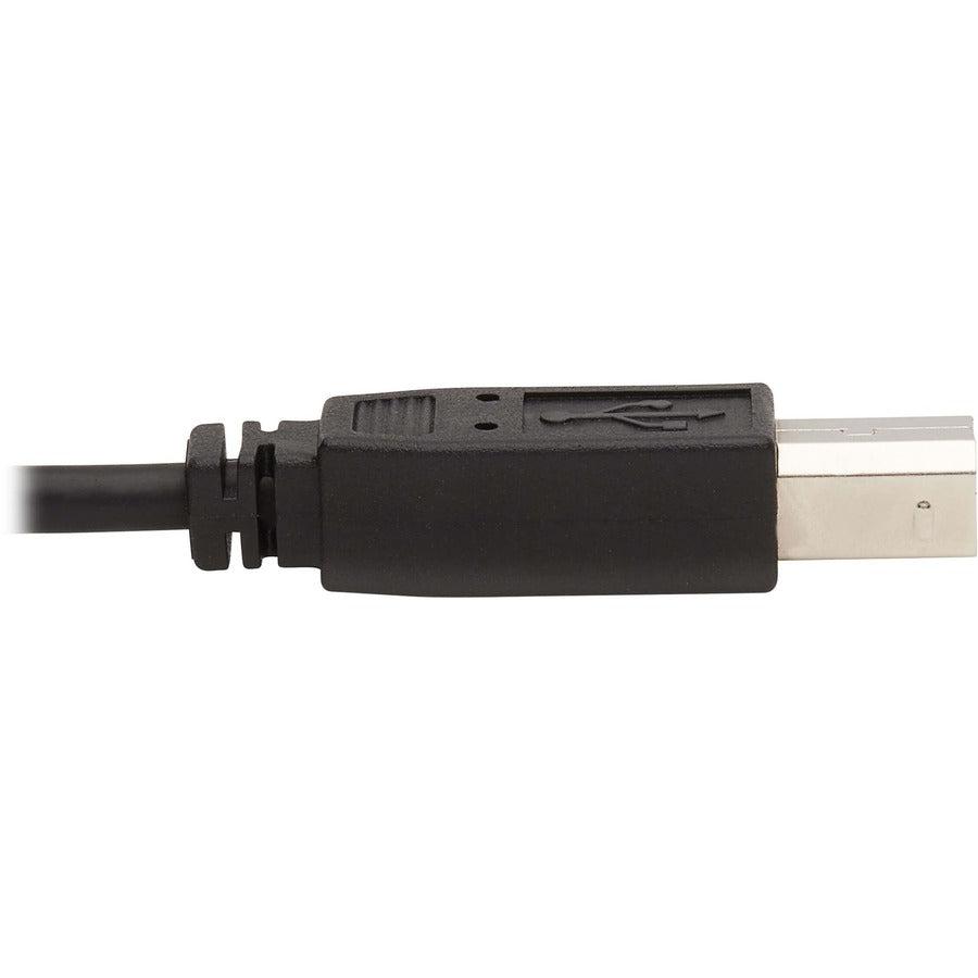 Tripp Lite Dvi Kvm Cable Kit - Dvi, Usb, 3.5 Mm Audio (3Xm/3Xm) + Usb (M/M) + Dvi (M/M), 6 Ft. (1.83 M)