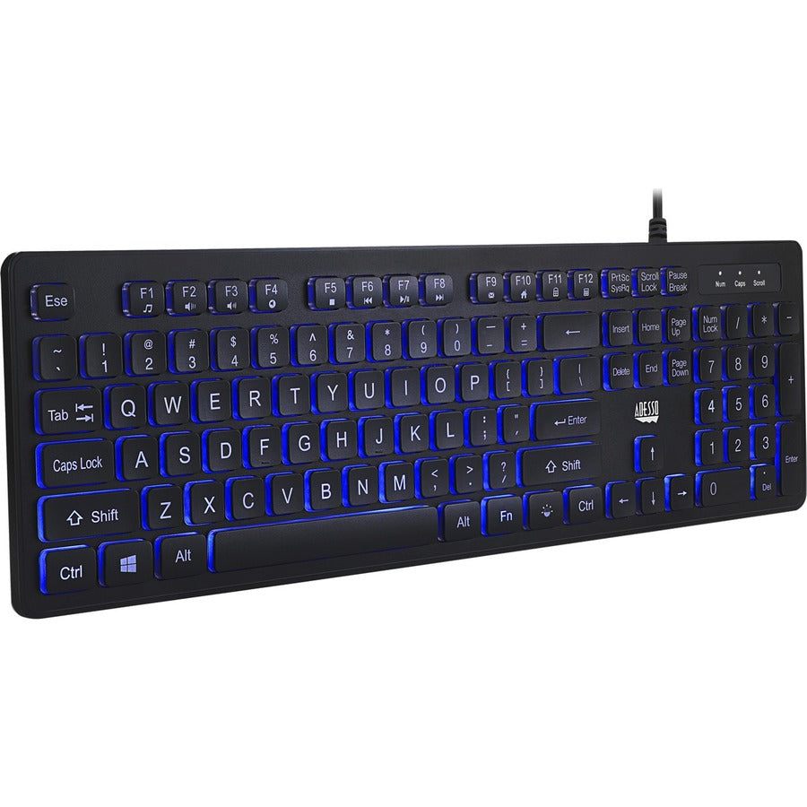 Adesso Large Print Illuminated Desktop Keyboard