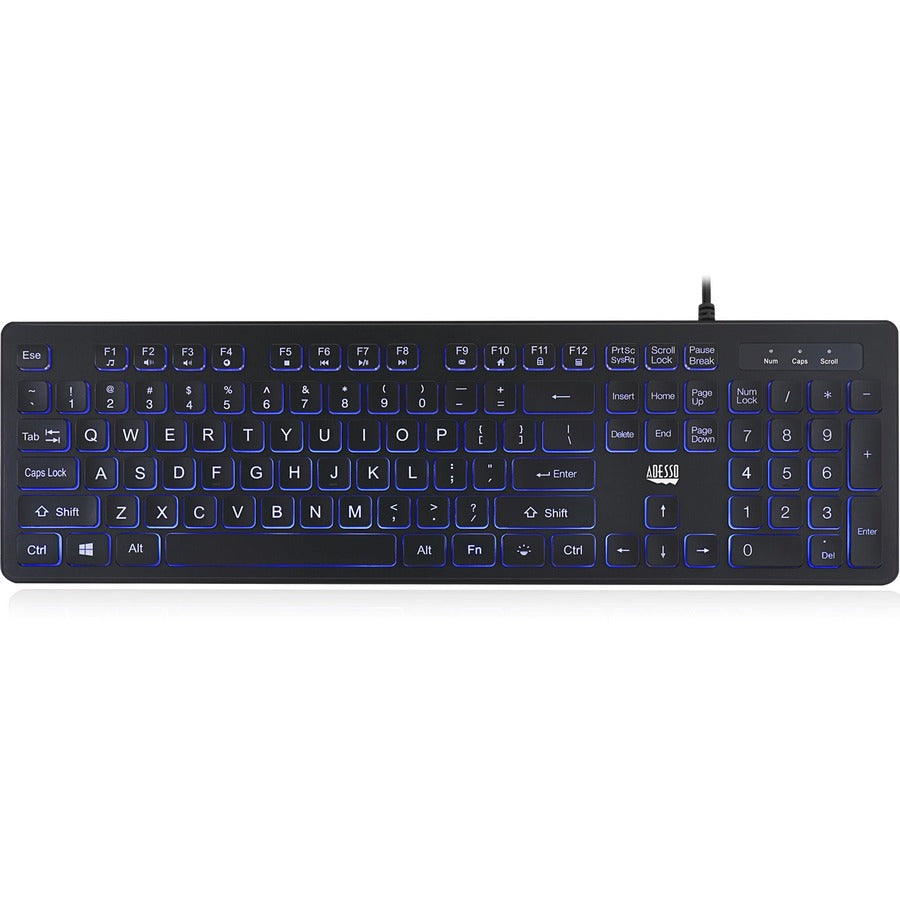 Adesso Large Print Illuminated Desktop Keyboard