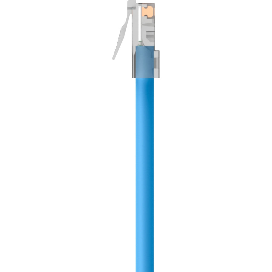 Belkin Cat6 Ethernet Patch Cable, Rj45, M/M A3L980-06-Blu