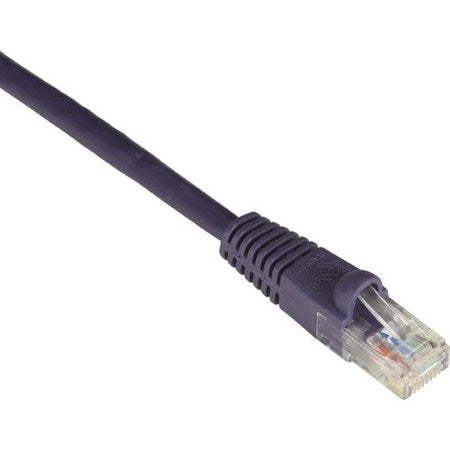 Cat6 550-Mhz Molded Snagless Stranded Ethernet Patch Cable-Unshielded (Utp), Cm Bbx-Evnsl678-0020