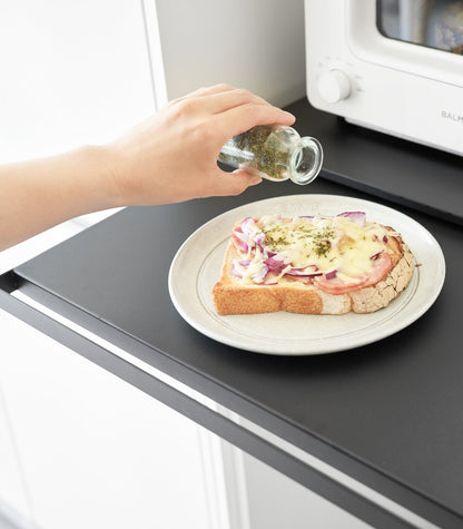 Countertop Drawer with Pull-Out Shelf - Steel