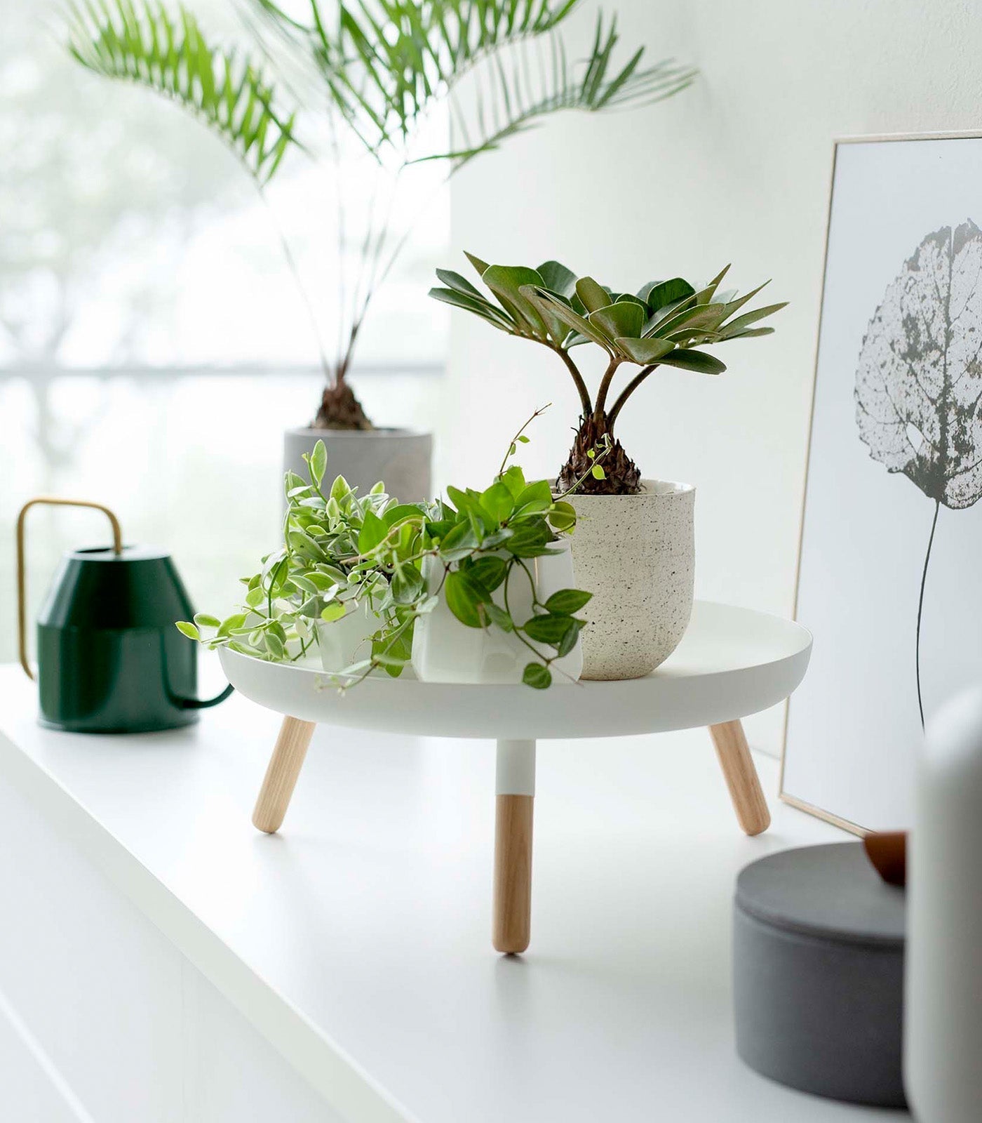 Countertop Pedestal Tray (5" H) - Steel + Wood