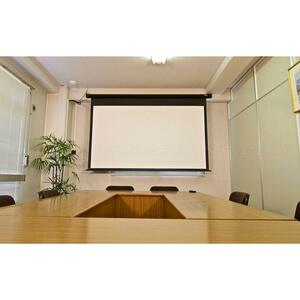 Elite Screens Manual Series - 135-Inch 16:9, Pull Down Manual Projector Screen With Auto Lock