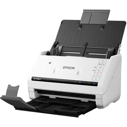 Epson B11B263202 Scanner