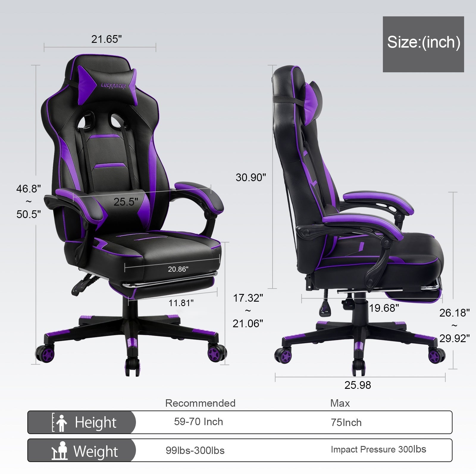 Footrest Series GTF59