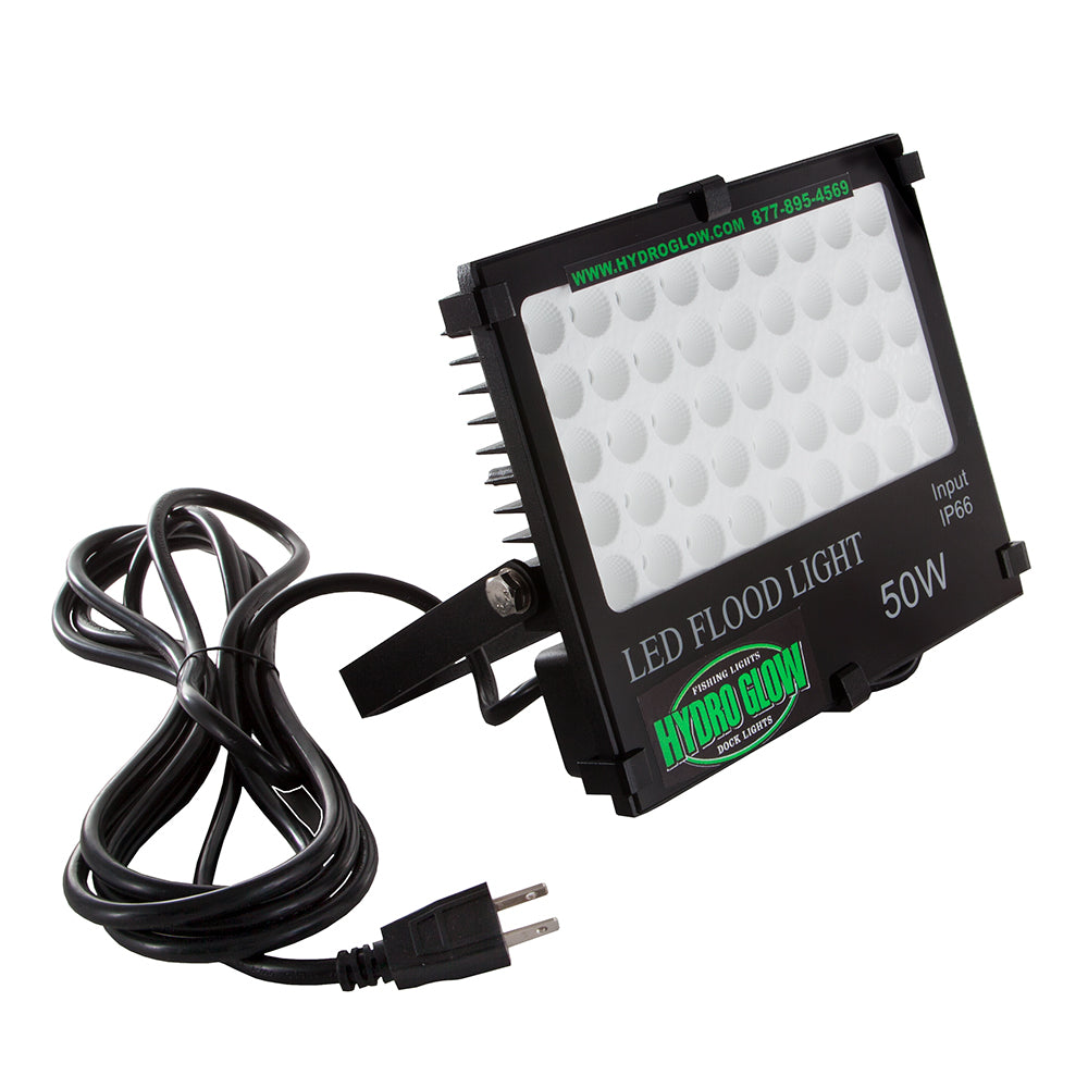 Hydro Glow FL50 50W/120VAC Flood Light - Green