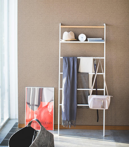 Leaning Storage Ladder - Two Styles - Steel