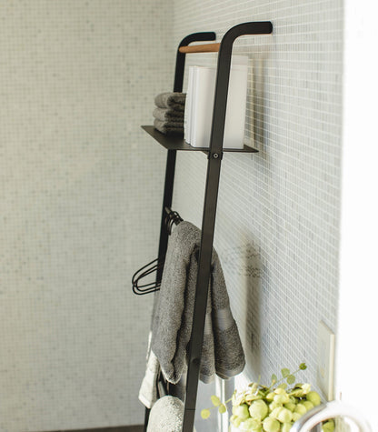 Leaning Storage Ladder - Two Styles - Steel