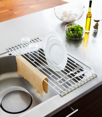 Over-the-Sink Dish Drainer - Steel