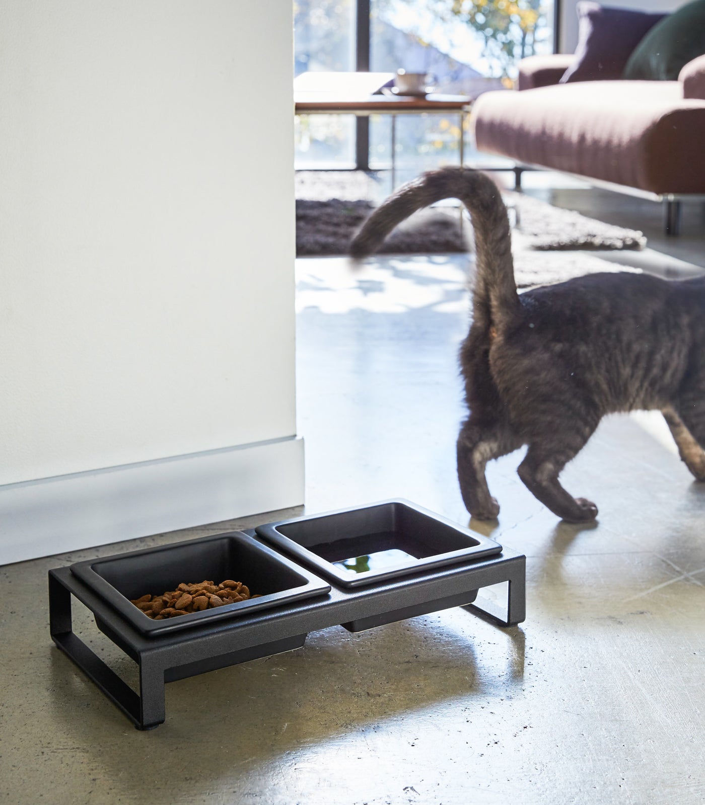 Pet Food Bowl