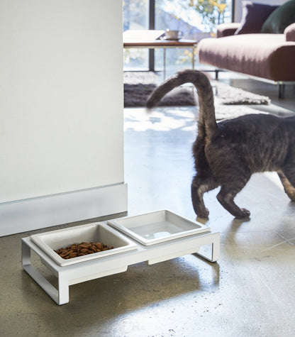 Pet Food Bowl