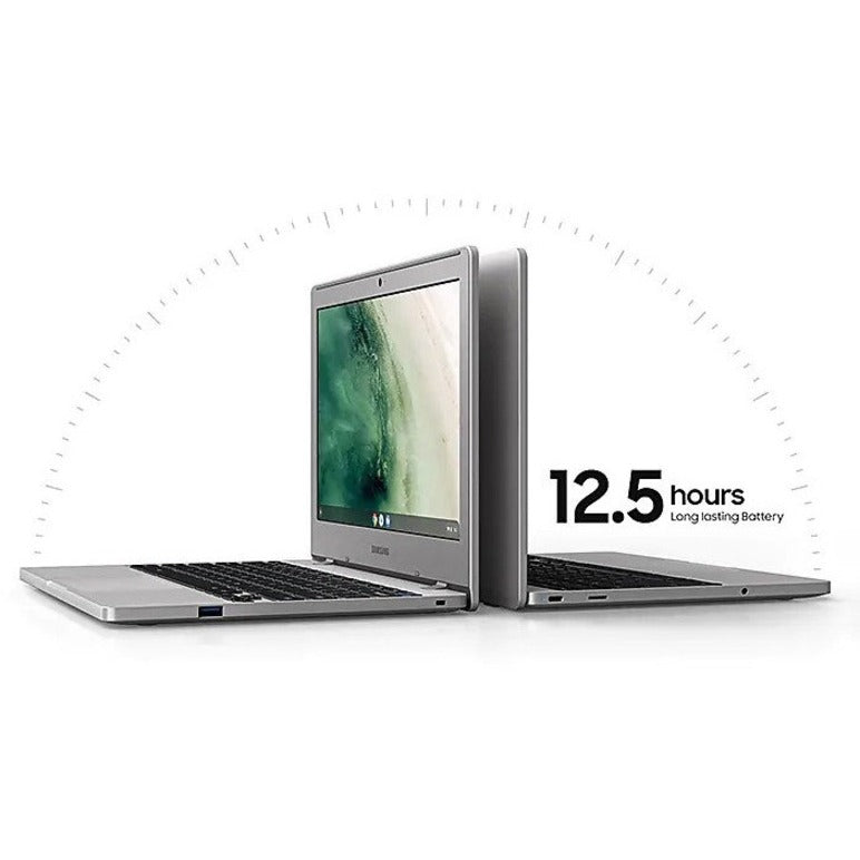 Samsung Chromebook Xe310Xba-Kd1Us Notebook 29.5 Cm (11.6") Hd Intel® Celeron® N