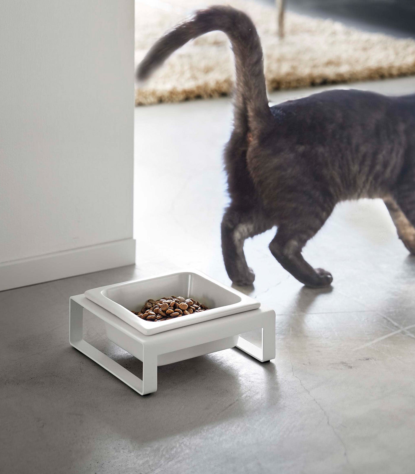 Single Pet Food Bowl - Two Styles - Steel + Ceramic