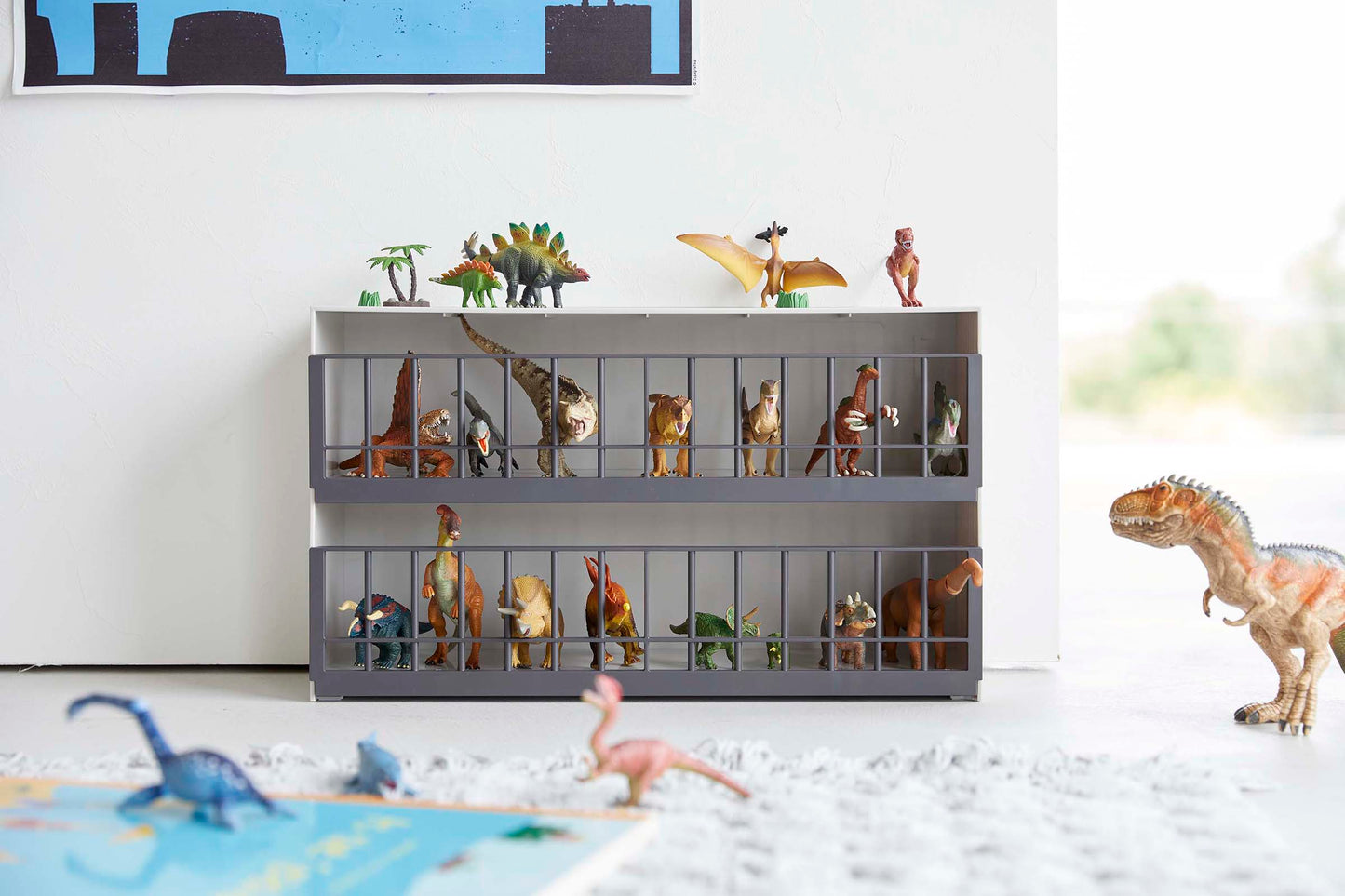 Toy Display Case