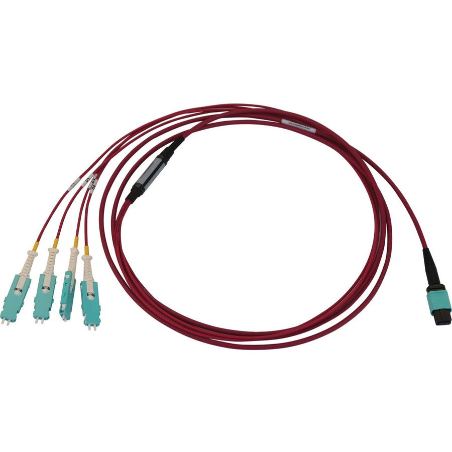 Tripp Lite 40/100/400G Multimode 50/125 Om4 Breakout Fiber Optic Cable (12F Mtp/Mpo-Pc To 4X Duplex Sn-Pc F/M), Lszh, Magenta, 2 M (6.6 Ft.)