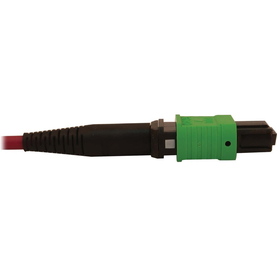 Tripp Lite 40/100/400G Multimode 50/125 Om4 Breakout Fiber Optic Cable (16F Mtp/Mpo-Apc To 8X Duplex Sn-Pc F/M), Lszh, Magenta, 2 M (6.6 Ft.)