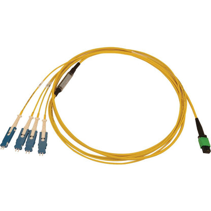 Tripp Lite 40/100/400G Singlemode 9/125 Os2 Breakout Fiber Optic Cable (12F Mtp/Mpo-Apc To 4X Duplex Sn-Upc F/M), Lszh, Yellow, 2 M (6.6 Ft.)