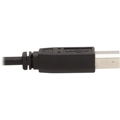 Tripp Lite Displayport Kvm Cable Kit - Dp, Usb, 3.5 Mm Audio (3Xm/3Xm) + Usb (M/M), 4K, 4:4:4, 6 Ft. (1.83 M), Black