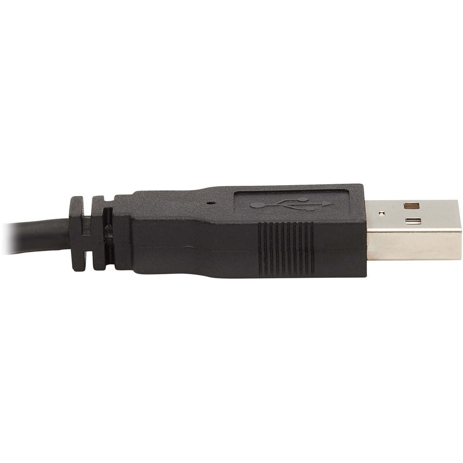 Tripp Lite Dual Dvi Kvm Cable Kit - Dvi, Usb, 3.5 Mm Audio (3Xm/3Xm) + Dvi (M/M), 10 Ft. (3.05 M)