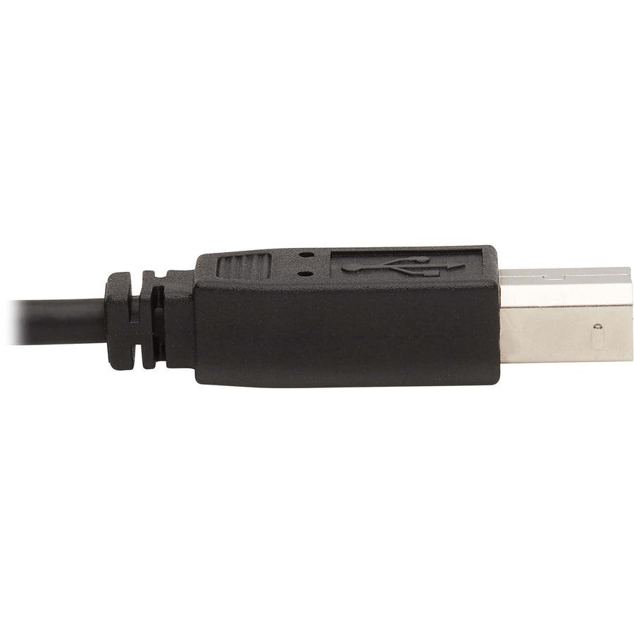 Tripp Lite Dvi Kvm Cable Kit, 3 In 1 - Dvi, Usb, 3.5 Mm Audio (3Xm/3Xm), 6 Ft. (1.83 M)