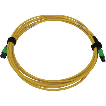 Tripp Lite N390B-03M-12-Ap 40/100G Singlemode 9/125 Os2 Fiber Optic Cable (12F Mtp/Mpo-Apc F/F), Lszh, Yellow, 3 M (9.8 Ft.)