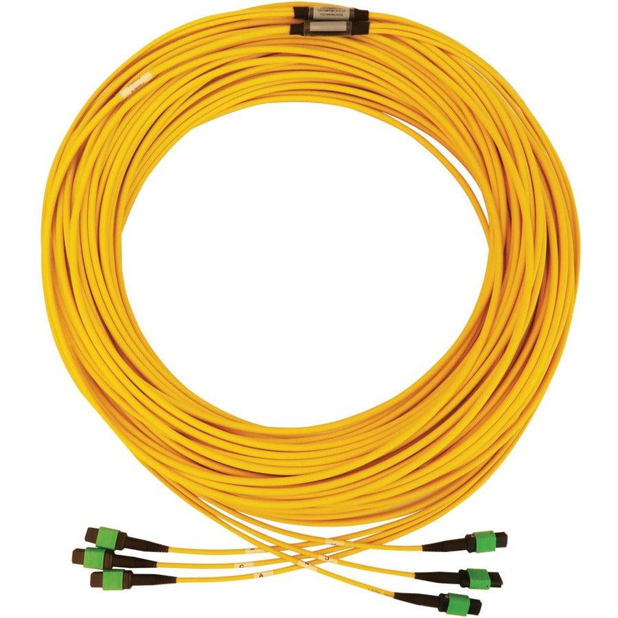 Tripp Lite N392B-61M-3X8Ap 40/100G Singlemode 9/125 Os2 Fiber Optic Cable (3X8F Mtp/Mpo-Apc F/F), Lszh, Yellow, 61 M (200 Ft.)