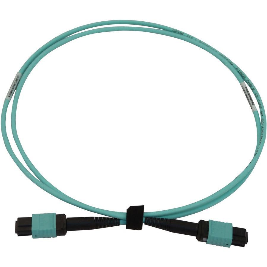 Tripp Lite N844B-01M-12-P 40/100/400G Multimode 50/125 Om3 Fiber Optic Cable (12F Mtp/Mpo-Pc F/F), Lszh, Aqua, 1 M (3.3 Ft.)