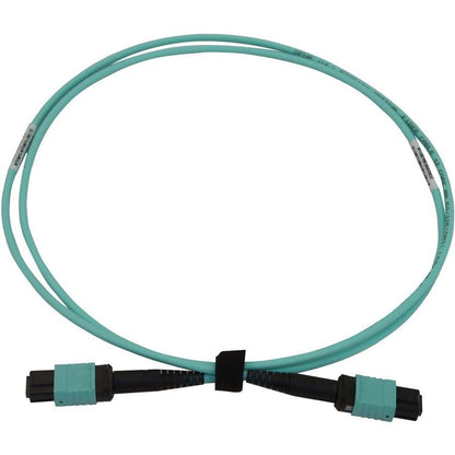 Tripp Lite N844B-01M-12-P 40/100/400G Multimode 50/125 Om3 Fiber Optic Cable (12F Mtp/Mpo-Pc F/F), Lszh, Aqua, 1 M (3.3 Ft.)