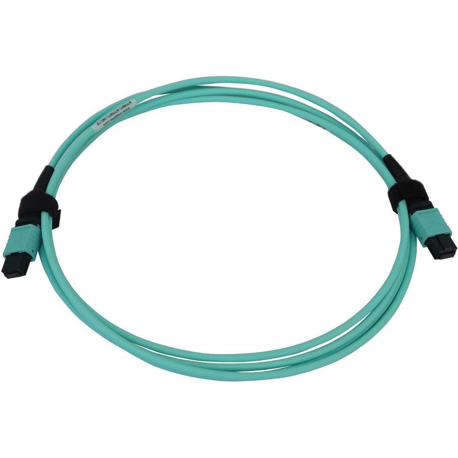 Tripp Lite N844B-02M-12-P 40/100/400G Multimode 50/125 Om3 Fiber Optic Cable (12F Mtp/Mpo-Pc F/F), Lszh, Aqua, 2 M (6.6 Ft.)