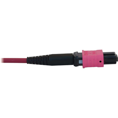 Tripp Lite N845B-01M-12-Mg 100G Multimode 50/125 Om4 Fiber Optic Cable (12F Mtp/Mpo-Pc F/F), Lszh, Magenta, 1 M (3.3 Ft.)