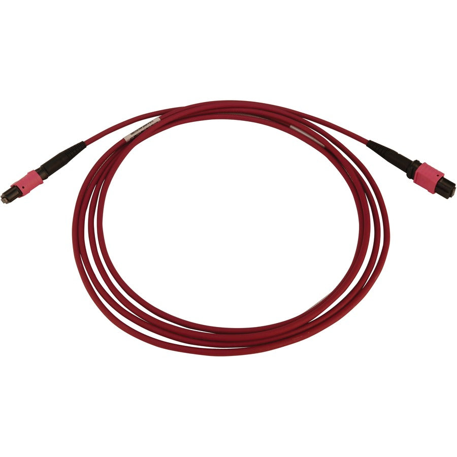 Tripp Lite N845B-01M-12-Mg 100G Multimode 50/125 Om4 Fiber Optic Cable (12F Mtp/Mpo-Pc F/F), Lszh, Magenta, 1 M (3.3 Ft.)