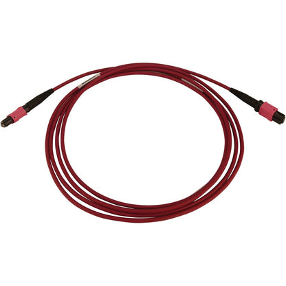 Tripp Lite N845B-02M-12-Mg 100G Multimode 50/125 Om4 Fiber Optic Cable (12F Mtp/Mpo-Pc F/F), Lszh, Magenta, 2 M (6.6 Ft.)