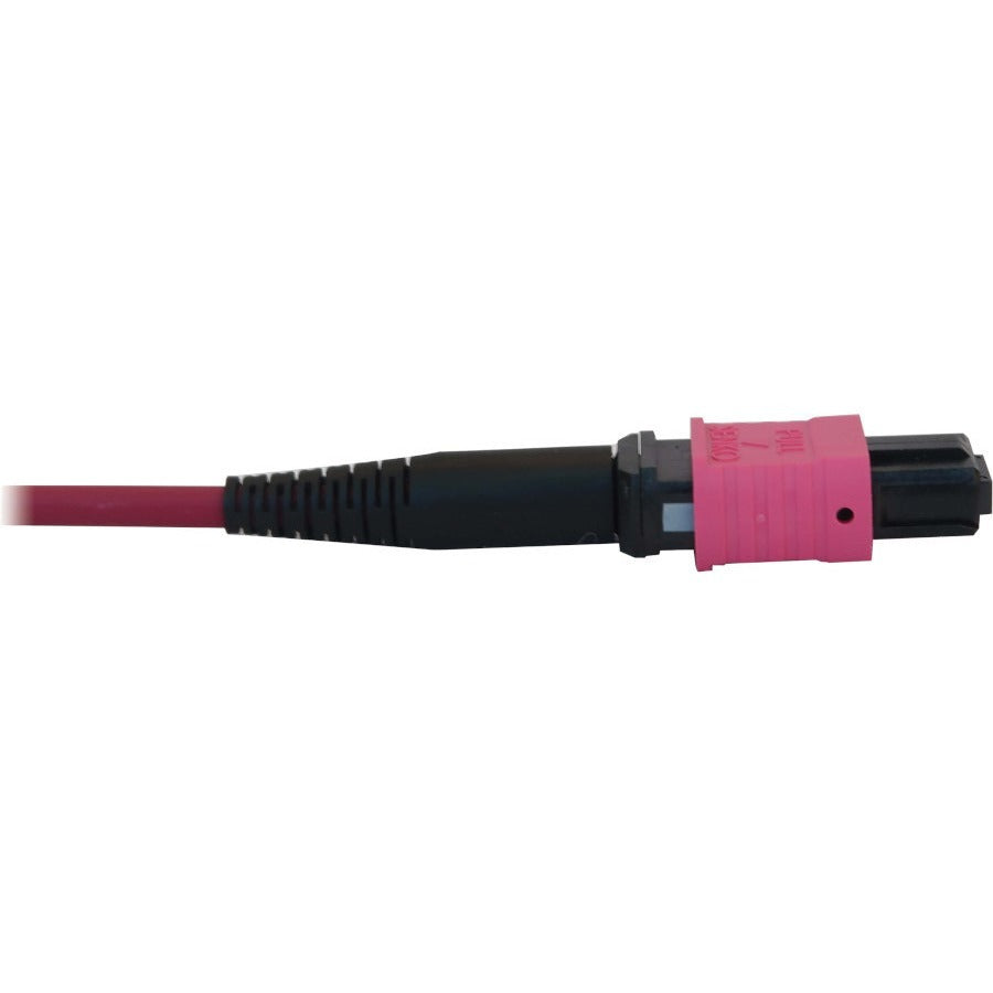 Tripp Lite N845B-20M-12-Mg 100G Multimode 50/125 Om4 Fiber Optic Cable (12F Mtp/Mpo-Pc F/F), Lszh, Magenta, 20 M (65.6 Ft.)