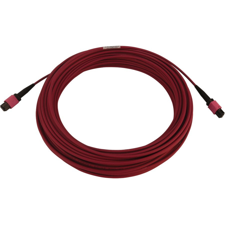 Tripp Lite N845B-20M-12-Mg 100G Multimode 50/125 Om4 Fiber Optic Cable (12F Mtp/Mpo-Pc F/F), Lszh, Magenta, 20 M (65.6 Ft.)