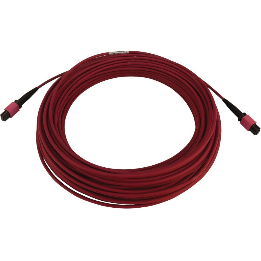 Tripp Lite N845B-25M-12-Mg 100G Multimode 50/125 Om4 Fiber Optic Cable (12F Mtp/Mpo-Pc F/F), Lszh, Magenta, 25 M (82 Ft.)