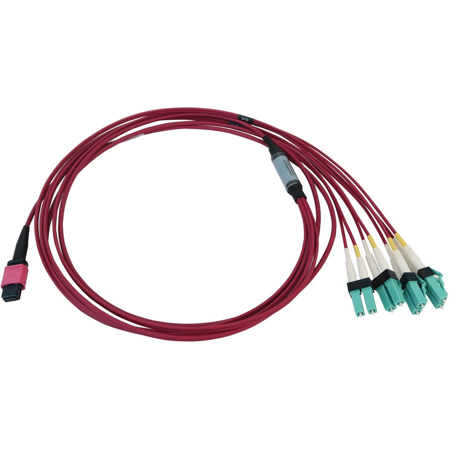 Tripp Lite N845X-02M-8L-Mg 40/100G Multimode 50/125 Om4 Fiber Optic Cable (12F Mtp/Mpo-Pc To 4X Duplex Lc/Pc F/M), Lszh, Magenta, 2 M (6.6 Ft.)