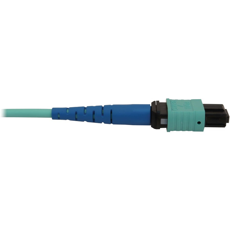 Tripp Lite N846B-01M-24-P 40/100/400G Multimode 50/125 Om3 Fiber Optic Cable (24F Mtp/Mpo-Pc F/F), Lszh, Aqua, 1 M (3.3 Ft.)