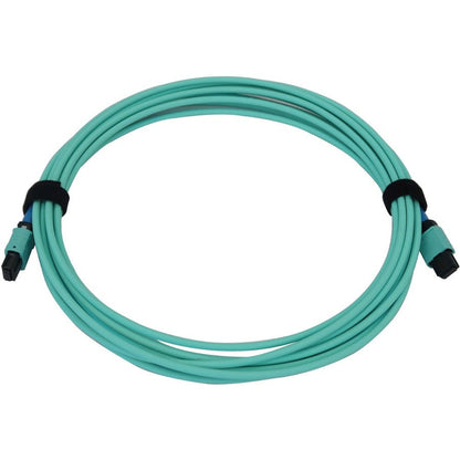 Tripp Lite N846B-05M-24-P 40/100/400G Multimode 50/125 Om3 Fiber Optic Cable (24F Mtp/Mpo-Pc F/F), Lszh, Aqua, 5 M (16.4 Ft.)