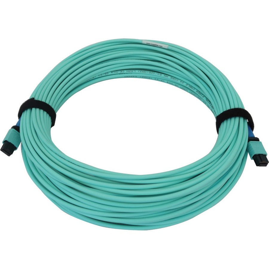 Tripp Lite N846B-25M-24-P 40/100/400G Multimode 50/125 Om3 Fiber Optic Cable (24F Mtp/Mpo-Pc F/F), Lszh, Aqua, 25 M (82 Ft.)