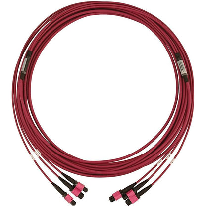 Tripp Lite N858B-10M-3X8Mg 40/100/400G Multimode 50/125 Om4 Fiber Optic Cable (3X8F Mtp/Mpo-Pc F/F), Lszh, Magenta, 10 M (32.8 Ft.)