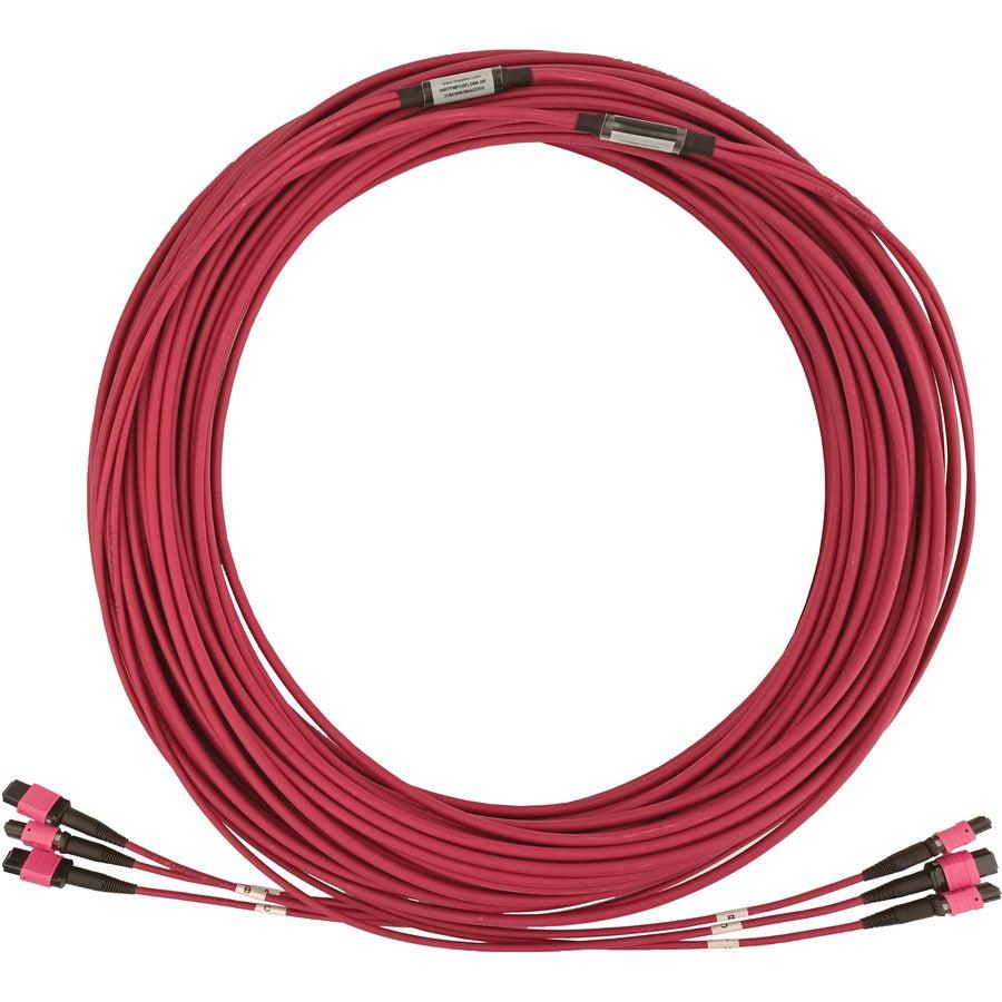 Tripp Lite N858B-30M-3X8Mg 40/100/400G Multimode 50/125 Om4 Fiber Optic Cable (3X8F Mtp/Mpo-Pc F/F), Lszh, Magenta, 30 M (98.4 Ft.)