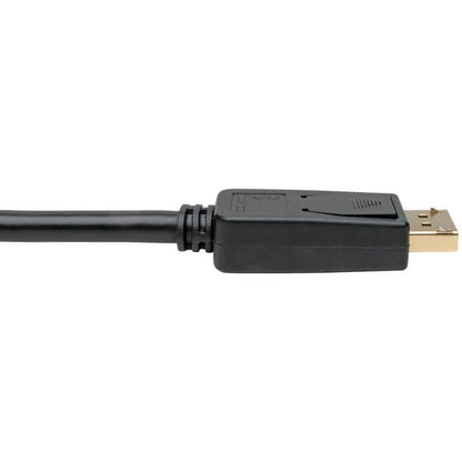 Tripp Lite P134-001-Gc Displayport To Dvi Adapter Video Converter, Black (M/F), 1 Ft. (0.31 M)