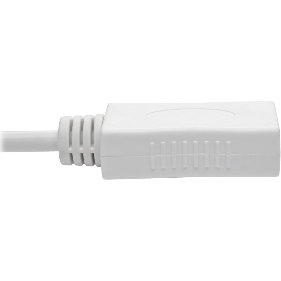 Tripp Lite P139-010-Dp-V2B Keyspan Mini Displayport To Displayport Adapter Cable (M/F), 4K 60 Hz, Dp 1.2, Hdcp 2.2, 10 Ft. (3.1 M)