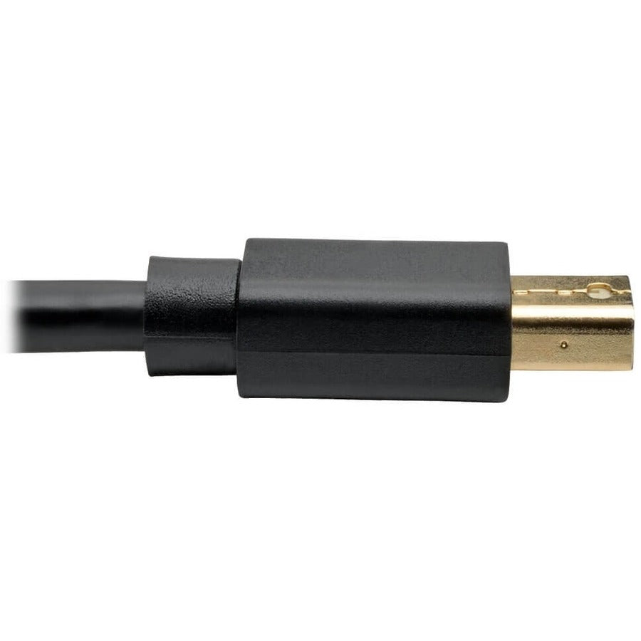 Tripp Lite P583-006-Bk Mini Displayport To Displayport Adapter Cable (M/M), 4K 60 Hz, Black, 6 Ft. (1.8 M)
