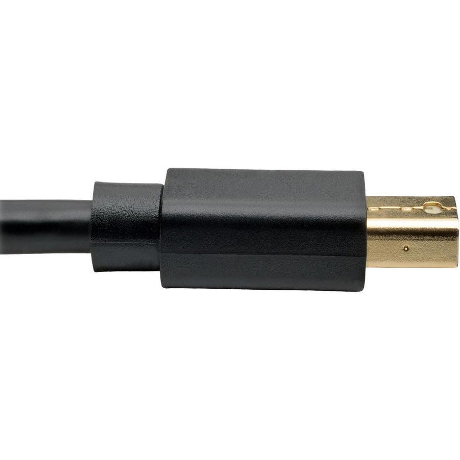 Tripp Lite P583-010-Bk Mini Displayport To Displayport Adapter Cable (M/M), 4K 60 Hz, Black, 10 Ft. (3.1 M)