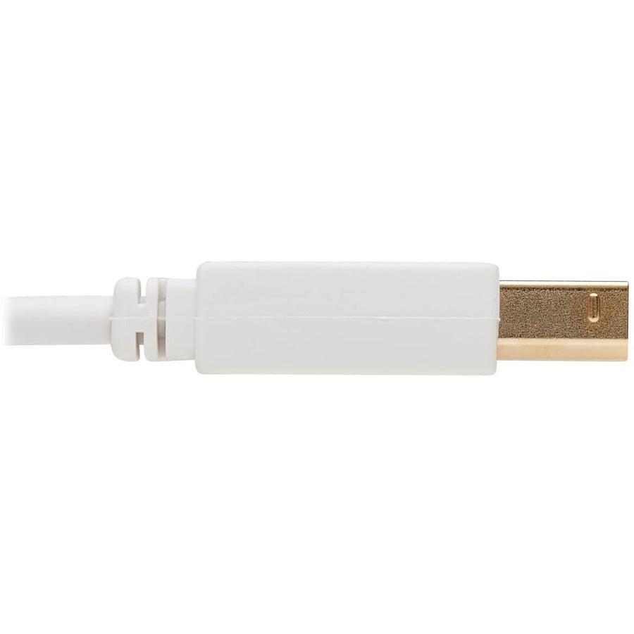 Tripp Lite U022Ab-006-Wh Safe-It Usb-A To Usb-B Antibacterial Cable (M/M), Usb 2.0, White, 6-Ft. (1.83 M)