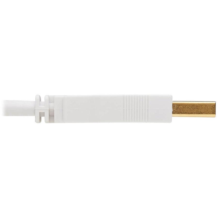 Tripp Lite U024Ab-003-Wh Safe-It Usb-A Antibacterial Extension Cable (M/F), Usb 2.0, White, 3 Ft. (0.91 M)